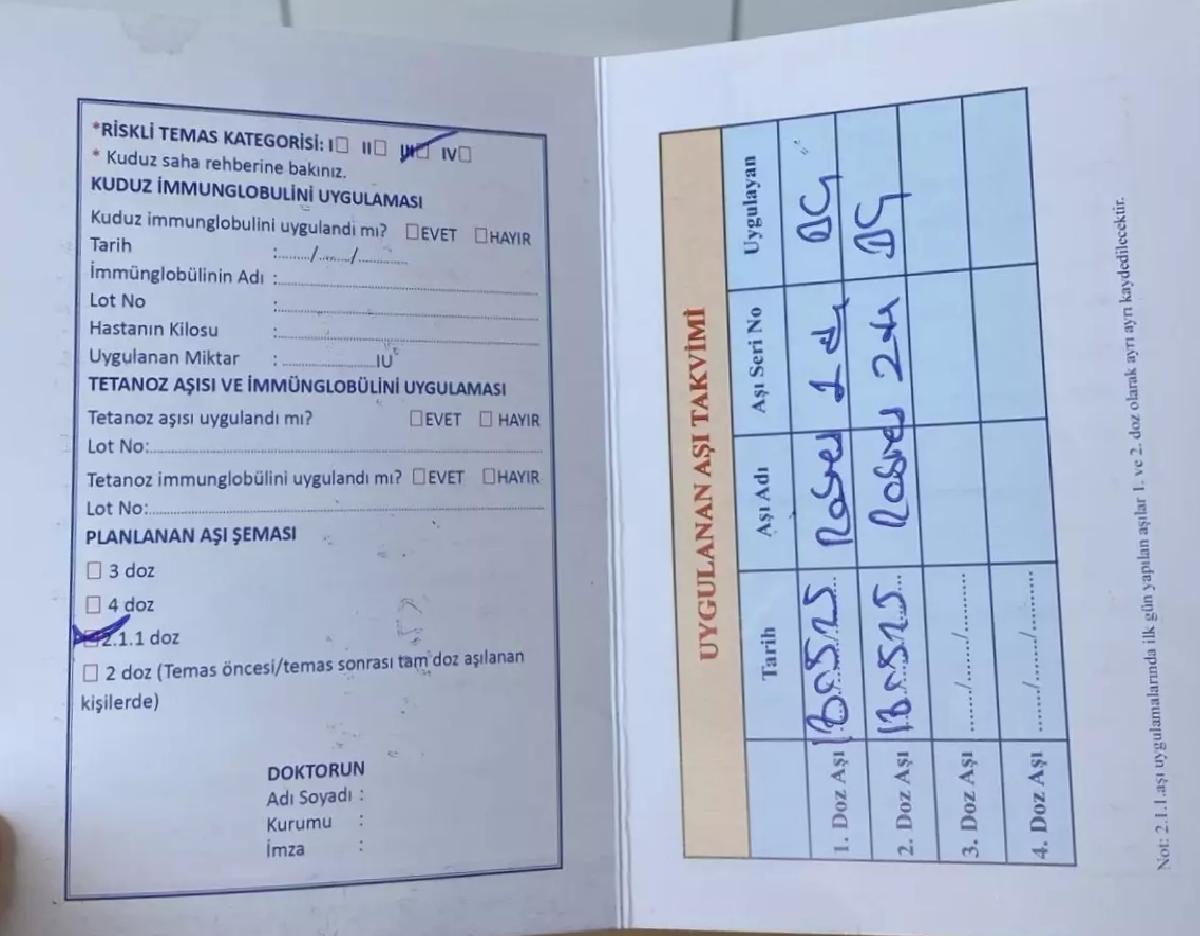 Üniversite Öğrencisi Sokak Köpeklerinin Saldırısına Uğradı