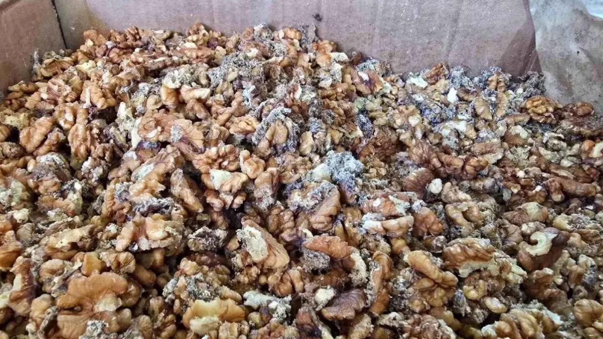 Urfa Yörem Baklavaları’nın Bozuk Ceviz Krizi: 11 Ton mu 3 Ton mu?