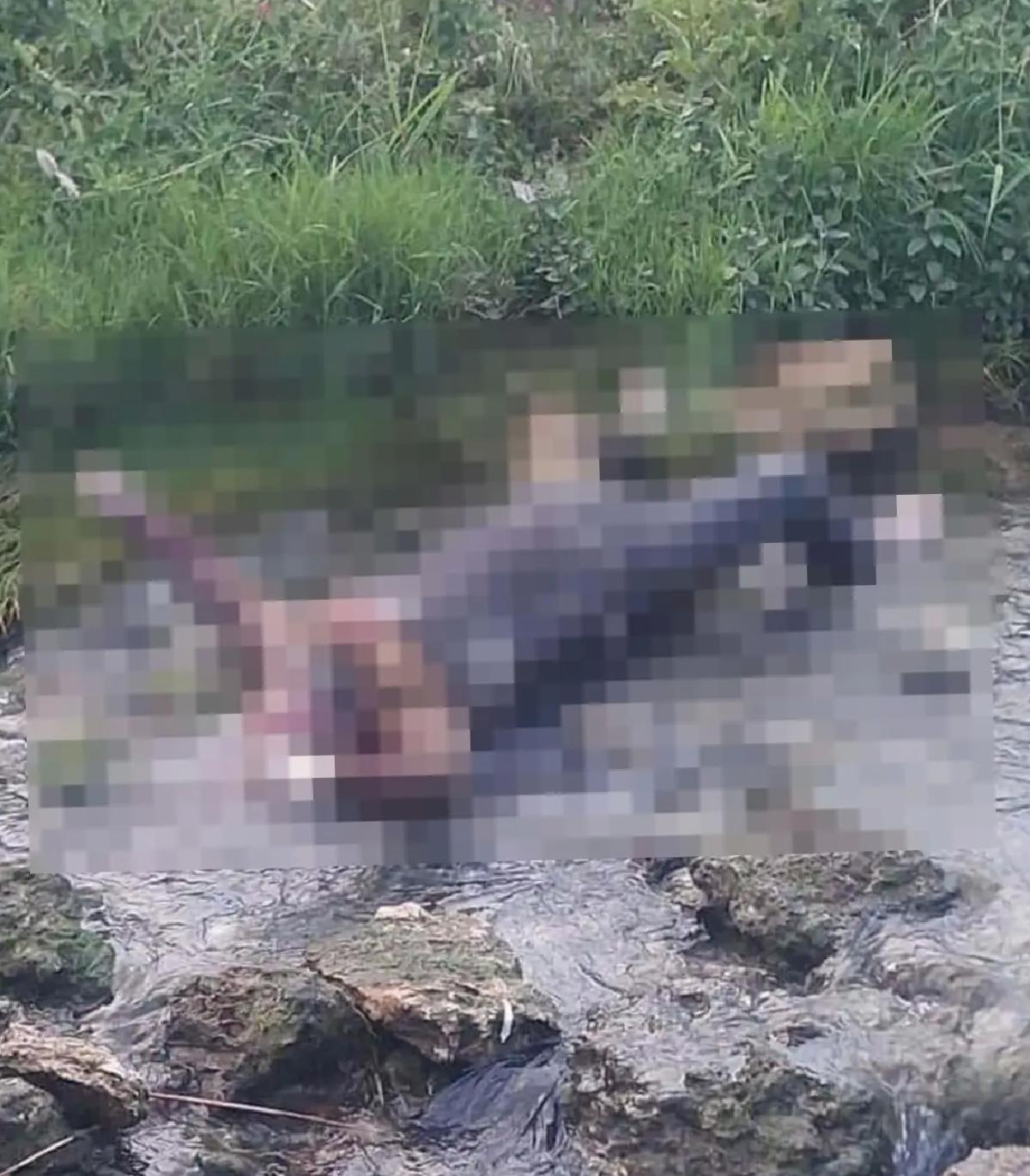 Uyuşturucu Etkisiyle Dereye Düşen Firari Ölü Bulundu