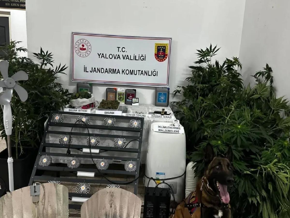 Uyuşturucu İmalatçısı Tutuklandı
