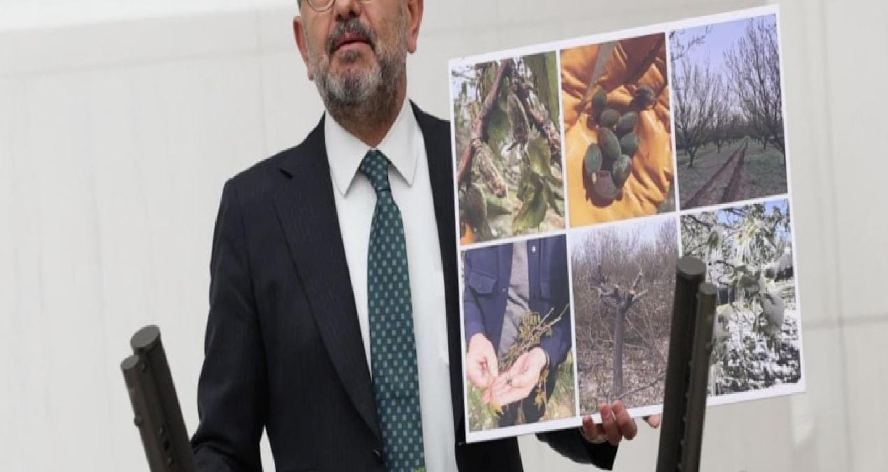 Veli Ağbaba ve yükselen CHP oyları