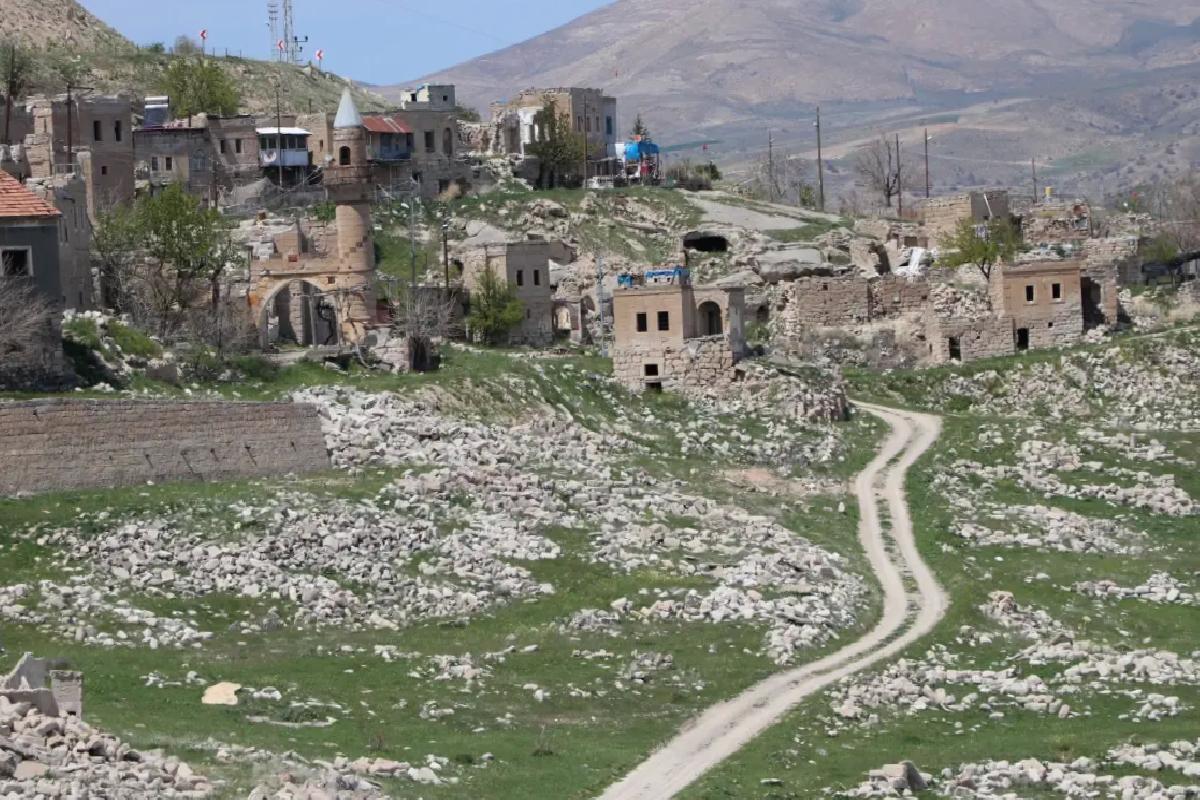 Yalnız Yaşayan Gazinin Dramı