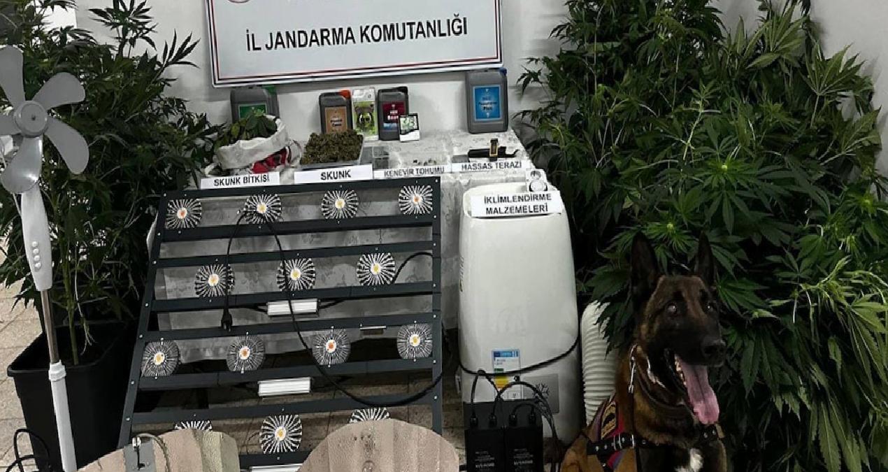 Yalova’da evinde uyuşturucu yetiştiren şüpheli tutuklandı
