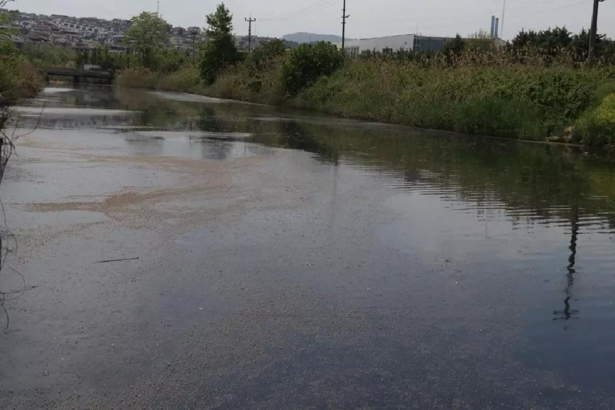 Yalova’da YASKİ’ye 4 Milyon Lira Ceza