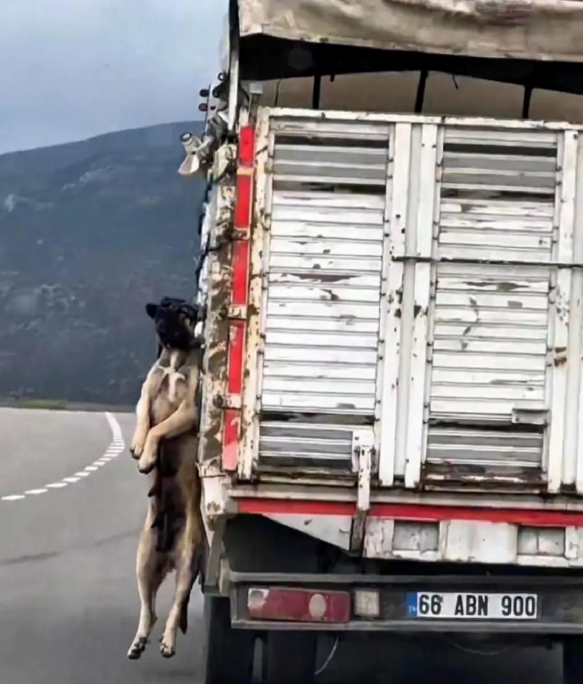 Yozgat’ta Köpek İple Bağlı Kamyonet Kazası