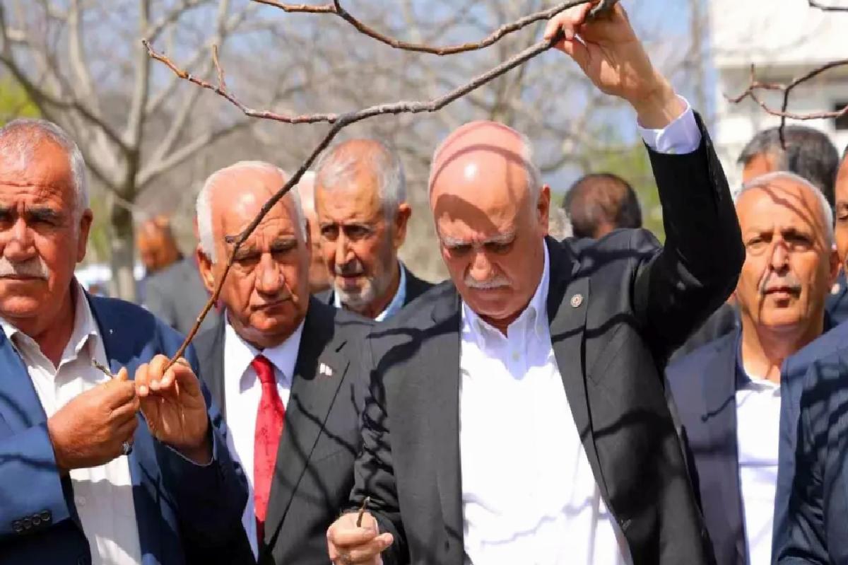 Zirai Don Felaketi Meyve Bahçelerini Vurdu
